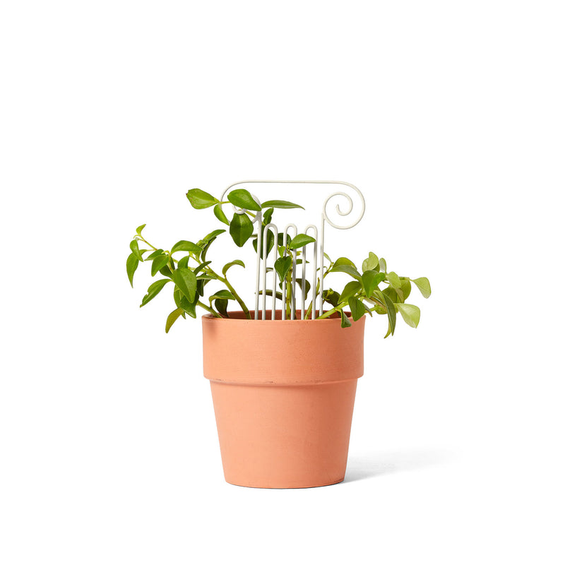 areaware | plant trellis mini | column