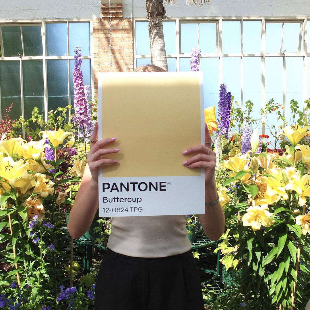 blunt | classic umbrella | buttercup - limited edition