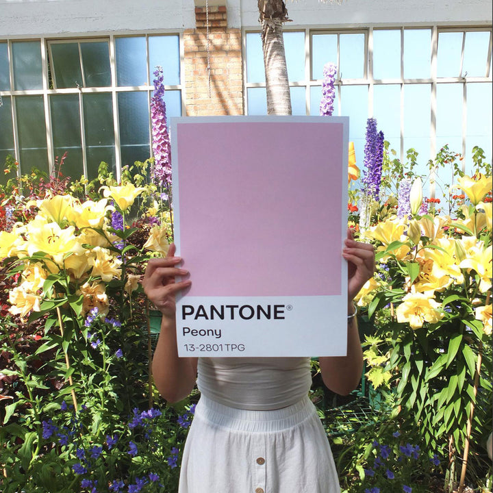 blunt | classic umbrella | peony - limited edition