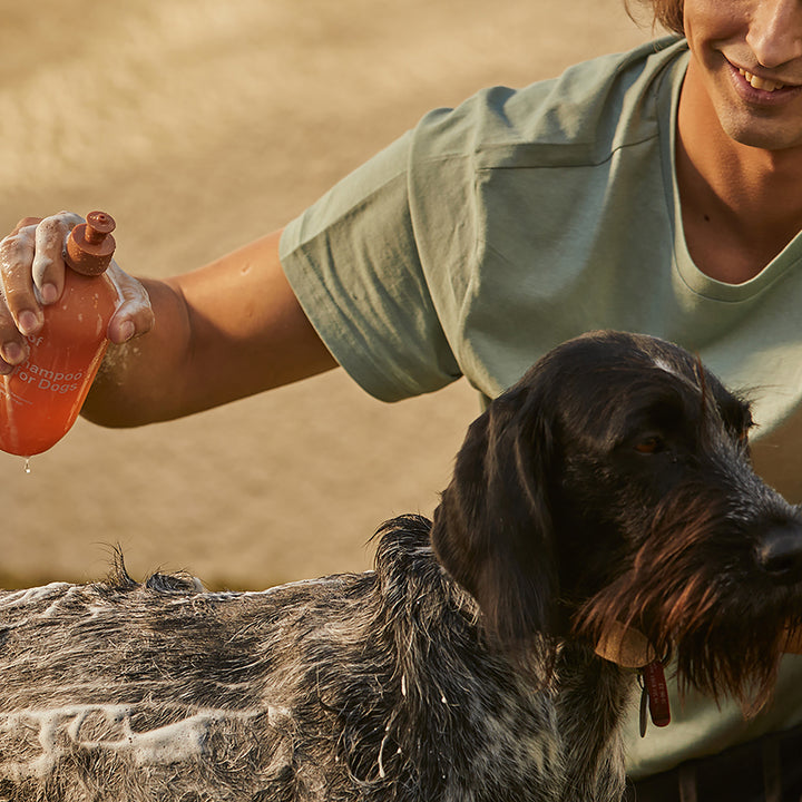 ashley + co | awoof wash dog shampoo | topup
