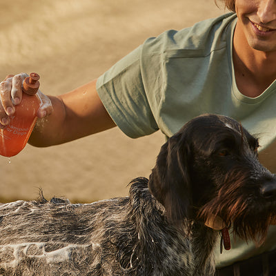 ashley + co | awoof wash dog shampoo