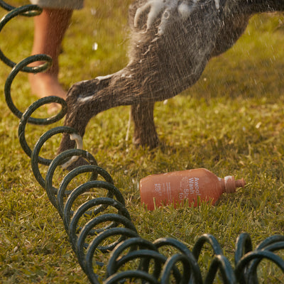 ashley + co | awoof wash dog shampoo