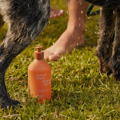 ashley + co | awoof wash dog shampoo