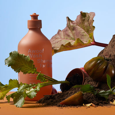 ashley + co | awoof wash dog shampoo