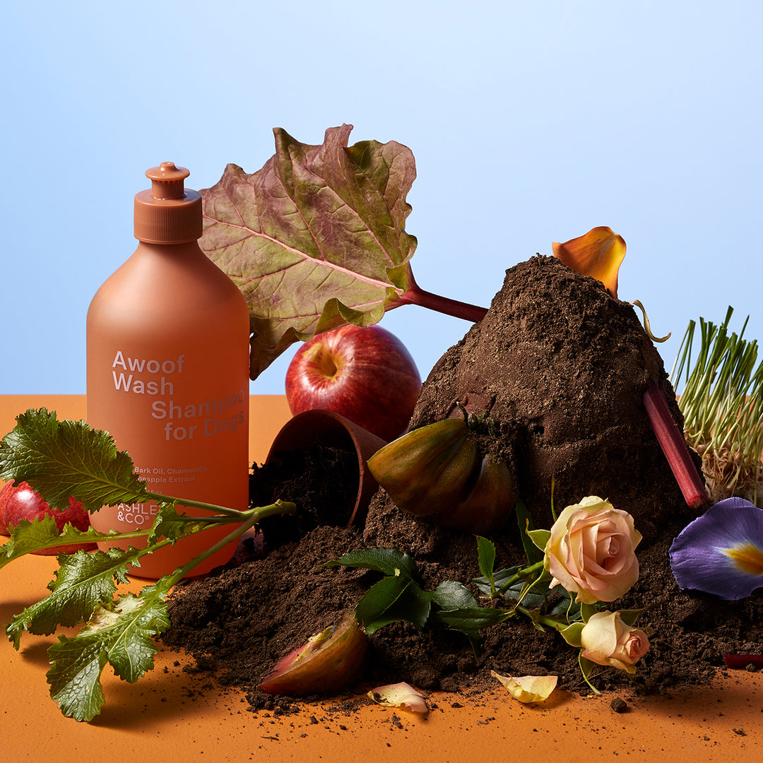 ashley + co | awoof wash dog shampoo | topup