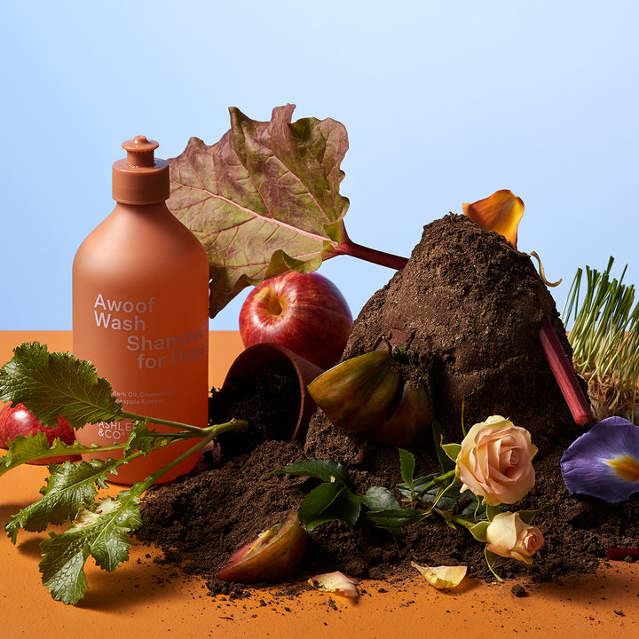 ashley + co | awoof wash dog shampoo | topup