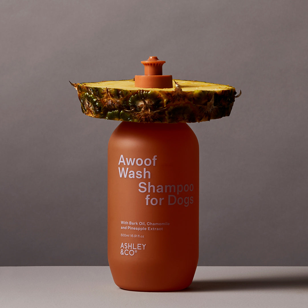 ashley + co | awoof wash dog shampoo