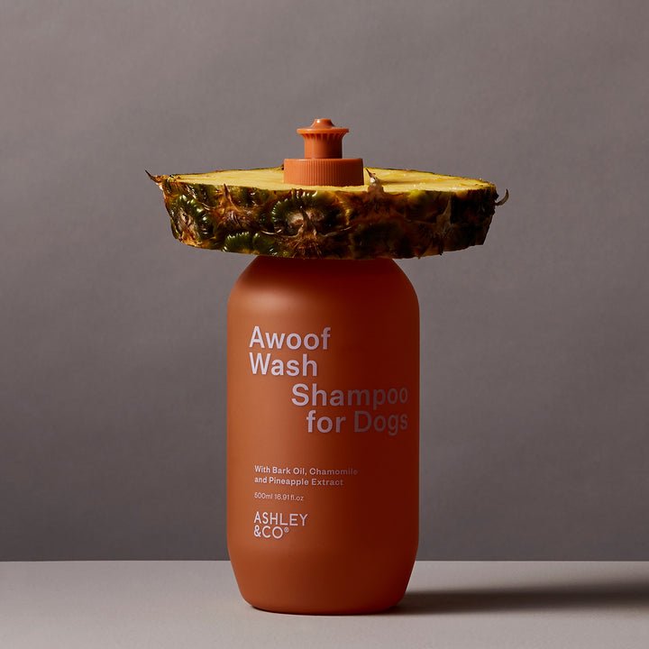 ashley + co | awoof wash dog shampoo