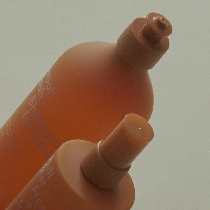 ashley + co | dog box grooming care set | awoof + ruffstar