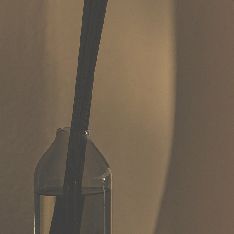 ashley + co | home perfume scent diffuser topup | tui + kahili