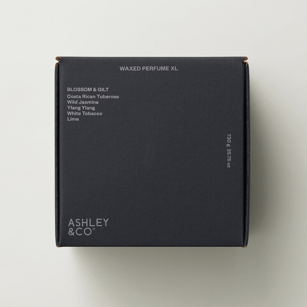 ashley + co | waxed perfume scented XL candle | blossom + gilt