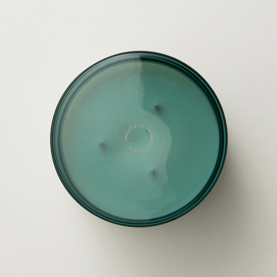 ashley + co | waxed perfume scented XL candle | blossom + gilt