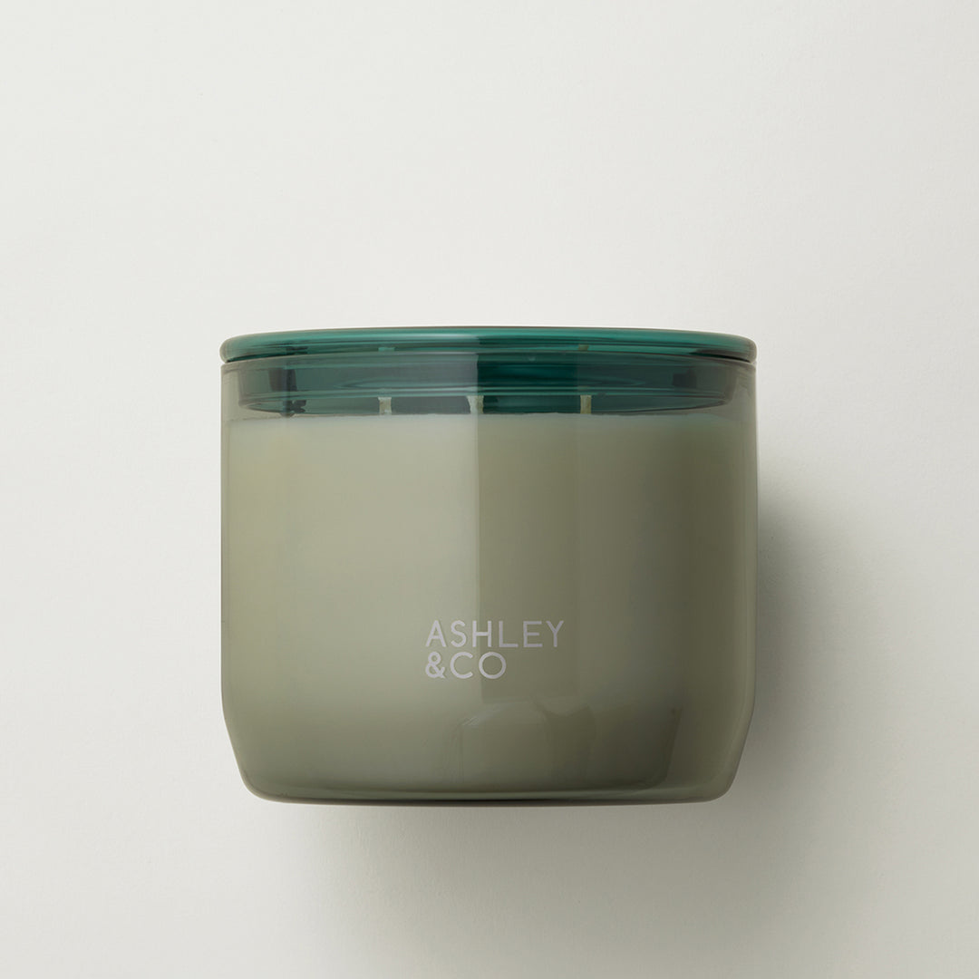 ashley + co | waxed perfume scented XL candle | blossom + gilt