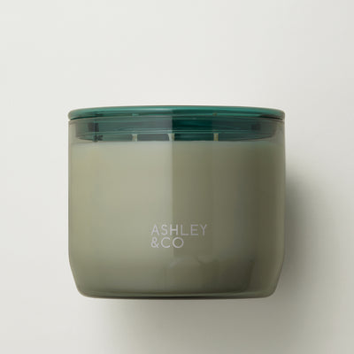 ashley + co | waxed perfume scented XL candle | blossom + gilt
