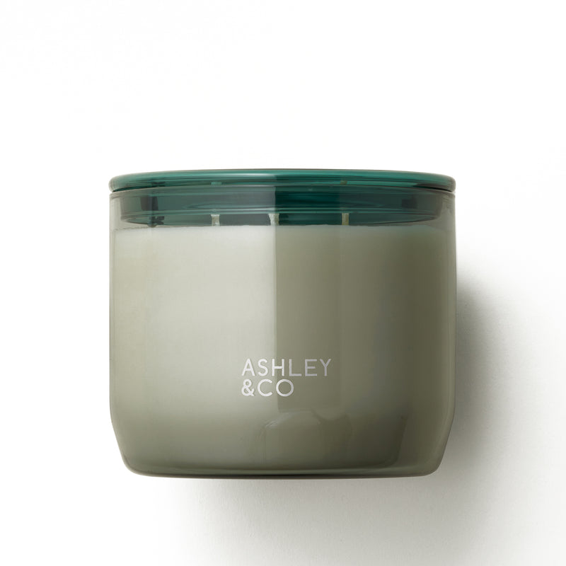 ashley + co | waxed perfume scented XL candle | blossom + gilt