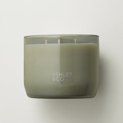 ashley + co | waxed perfume scented XL candle | blossom + gilt