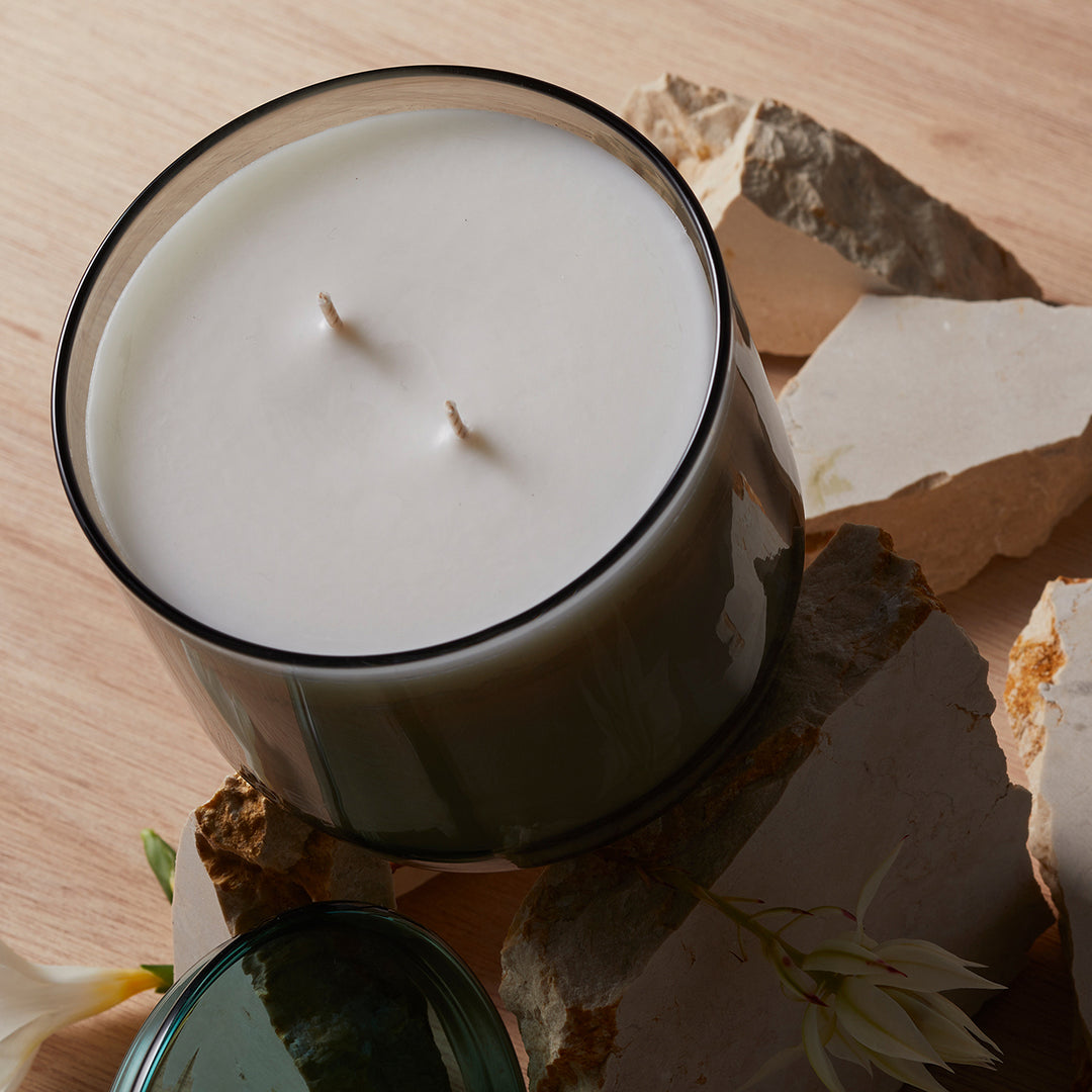 ashley + co | waxed perfume scented XL candle | blossom + gilt