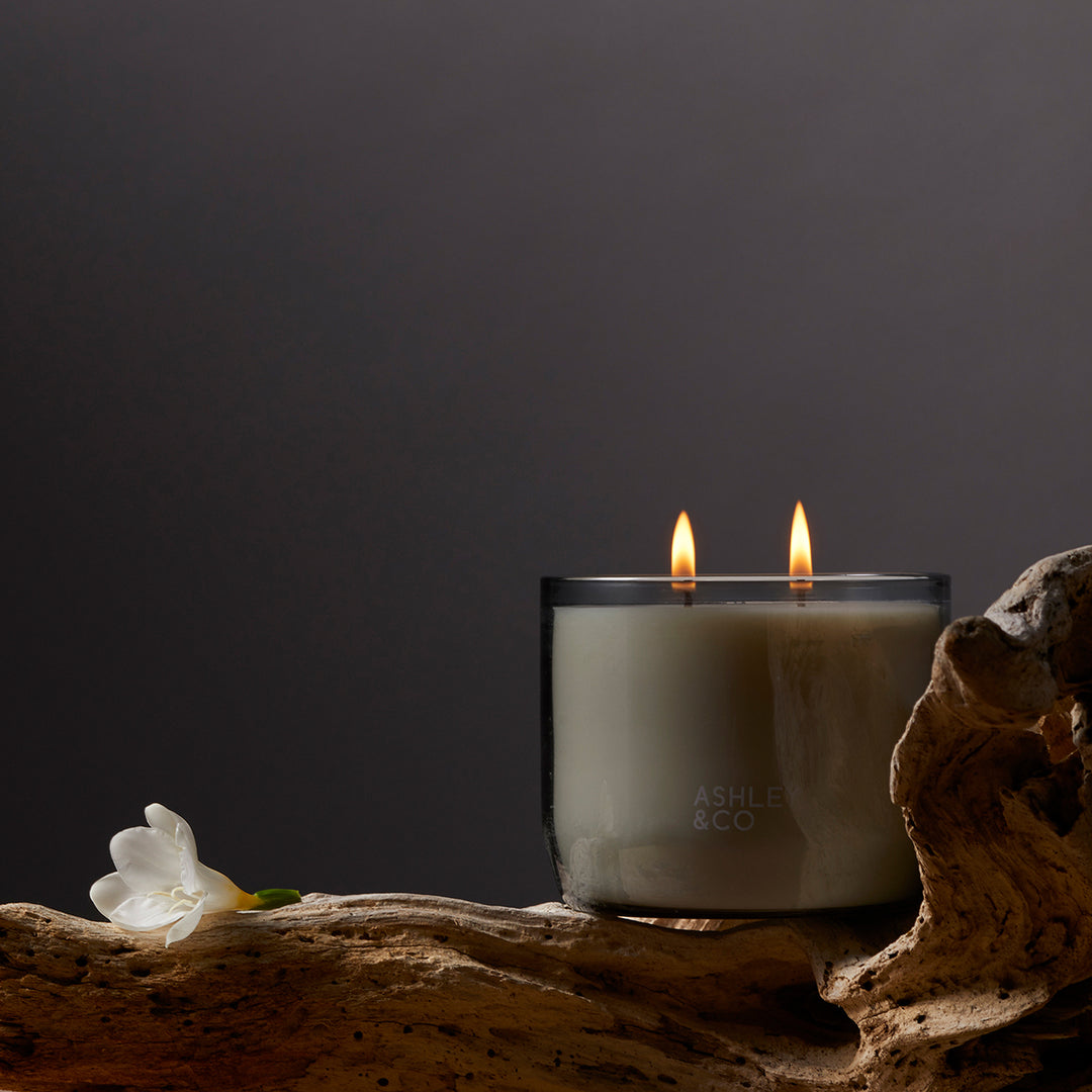 ashley + co | waxed perfume scented XL candle | blossom + gilt