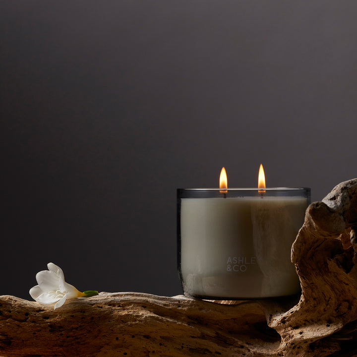 ashley + co | waxed perfume scented XL candle | blossom + gilt