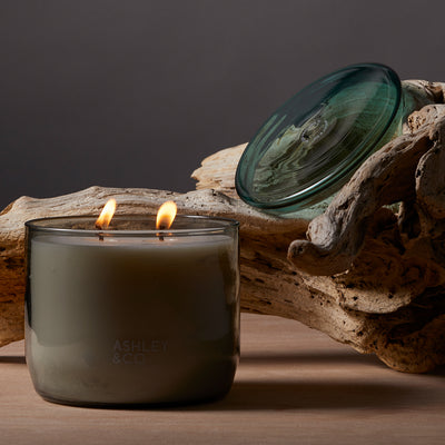 ashley + co | waxed perfume scented XL candle | tui + kahili