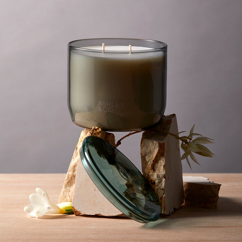 ashley + co | waxed perfume scented XL candle | blossom + gilt