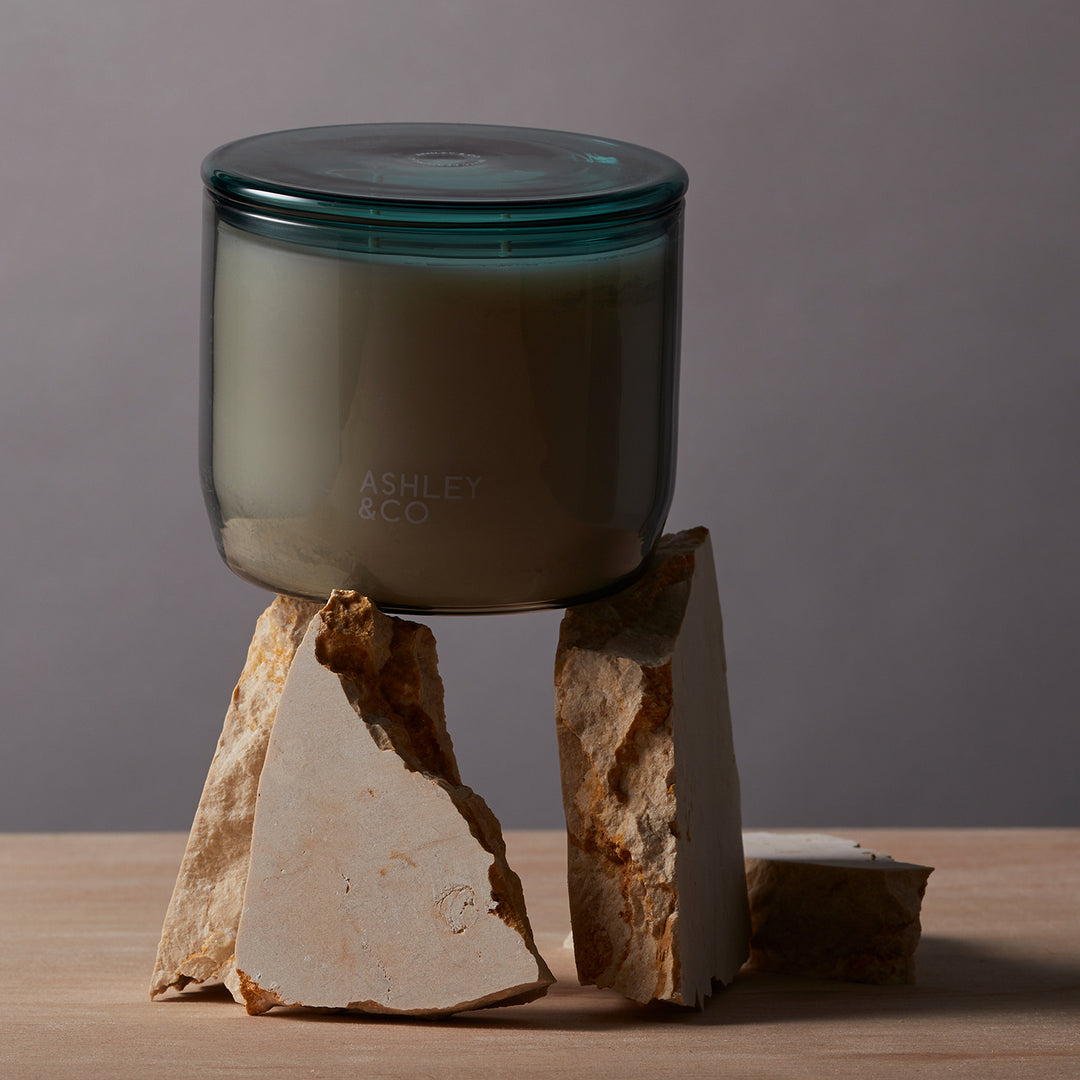 ashley + co | waxed perfume scented XL candle | blossom + gilt