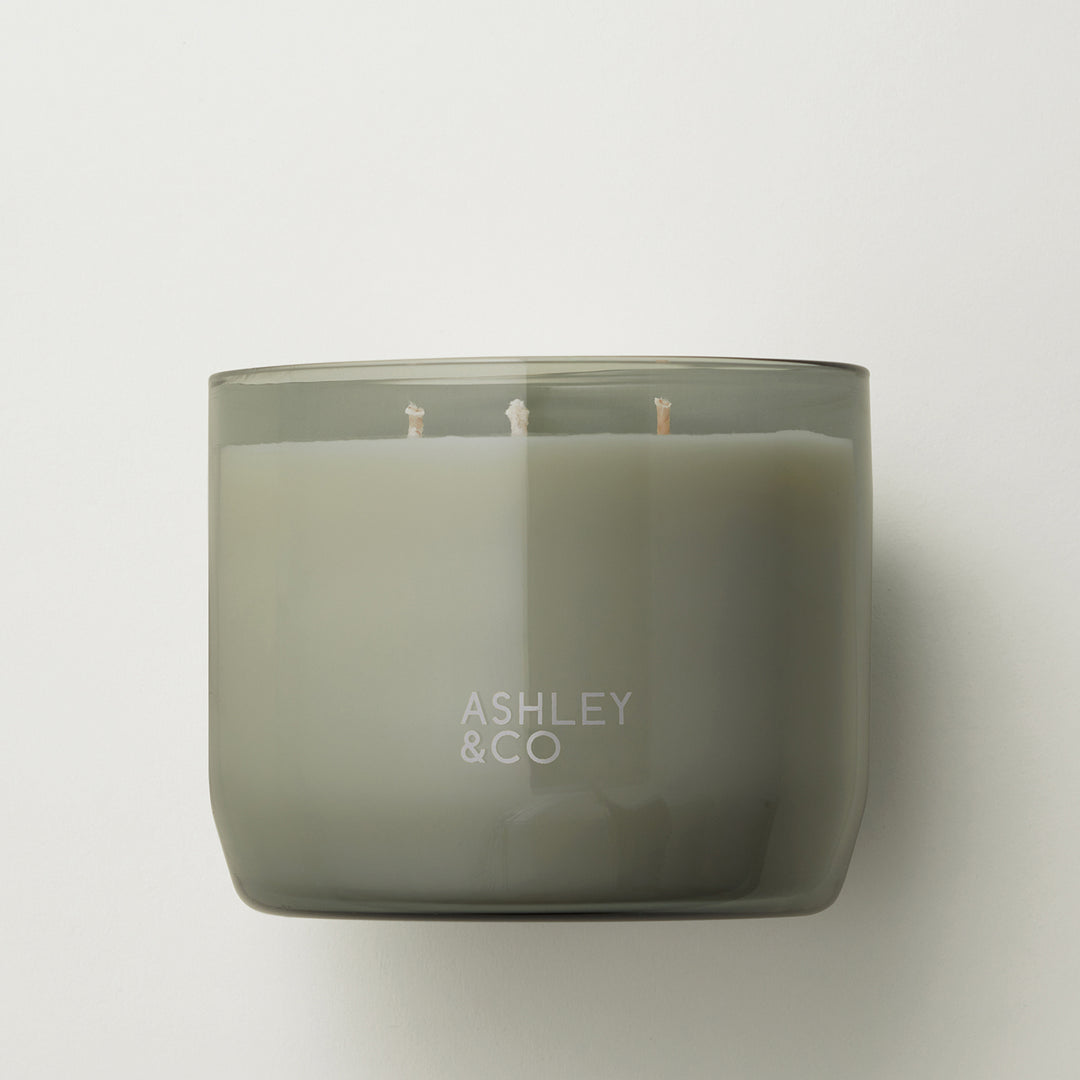 ashley + co | waxed perfume scented XL candle | tui + kahili
