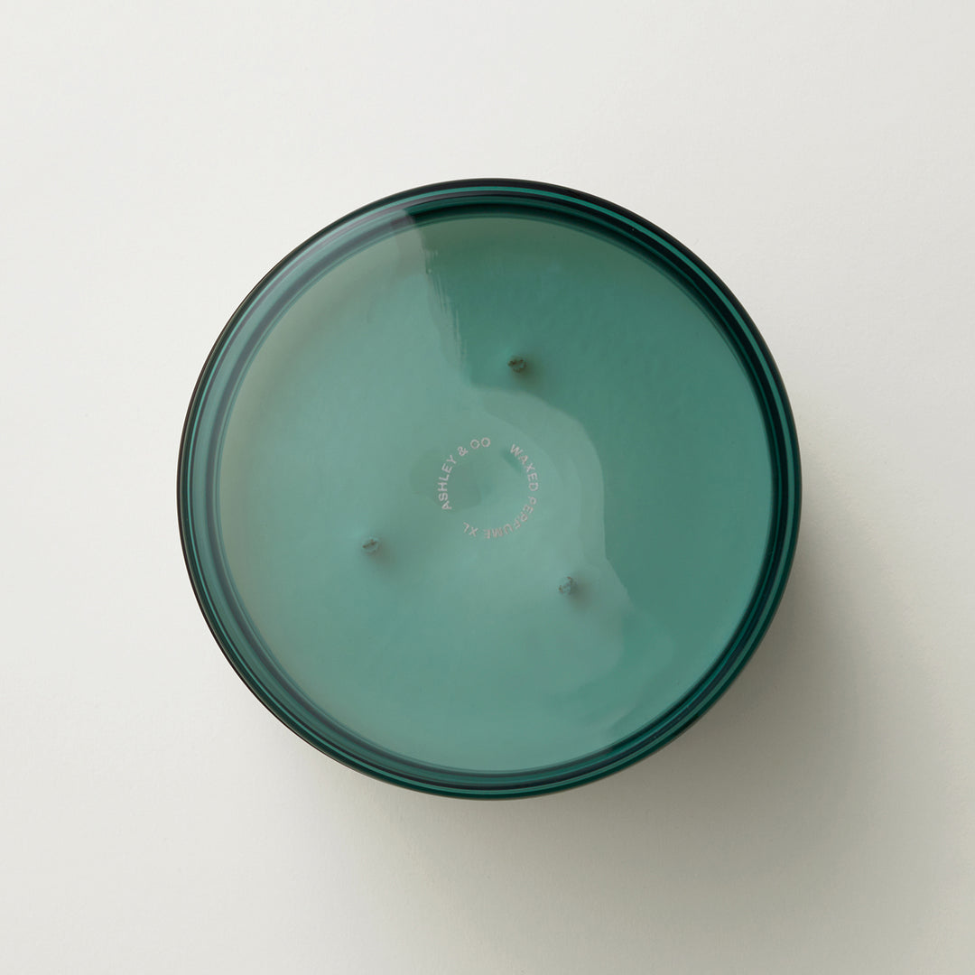 ashley + co | waxed perfume scented XL candle | tui + kahili