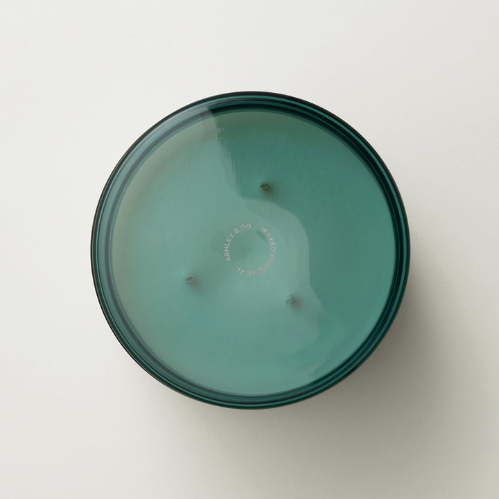 ashley + co | waxed perfume scented XL candle | tui + kahili