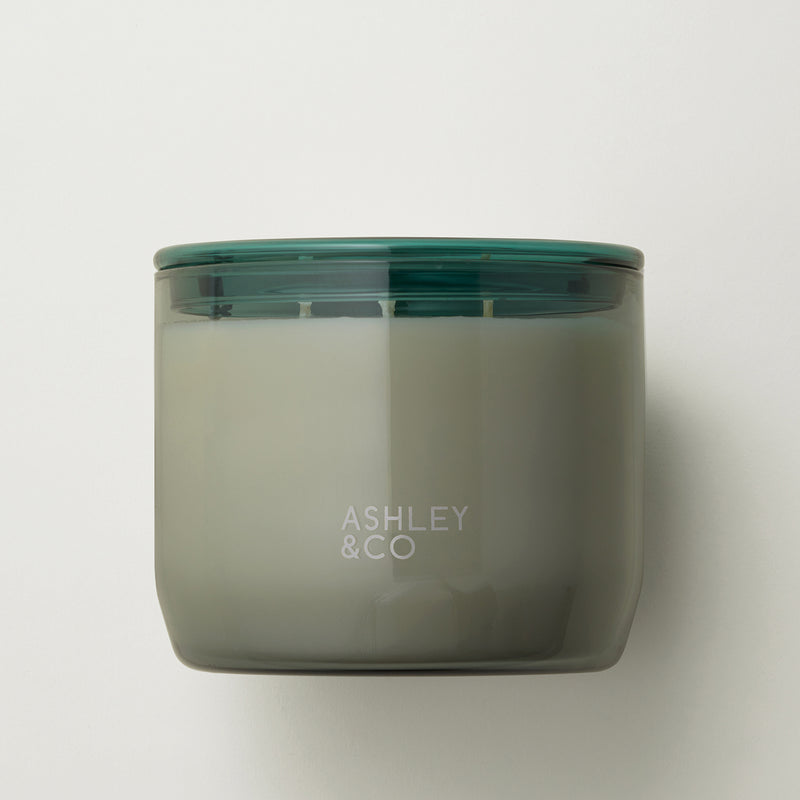 ashley + co | waxed perfume scented XL candle | tui + kahili