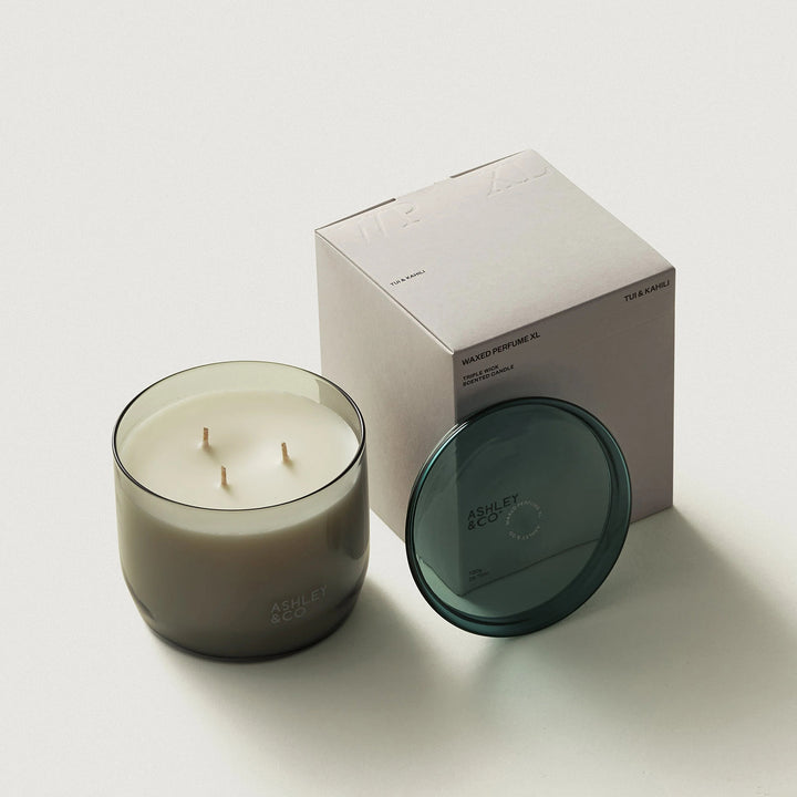 ashley + co | waxed perfume scented XL candle | tui + kahili
