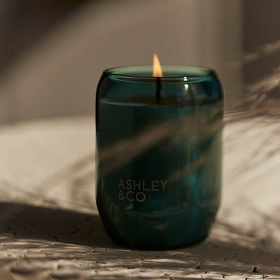 ashley + co | waxed perfume scented outdoor candle | tui + kahili + citronella