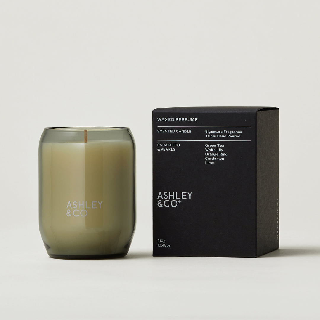ashley + co | waxed perfume scented candle | parakeets + pearls