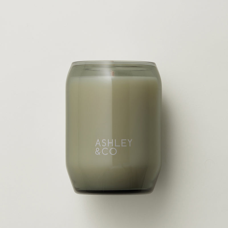 ashley + co | waxed perfume scented candle | parakeets + pearls