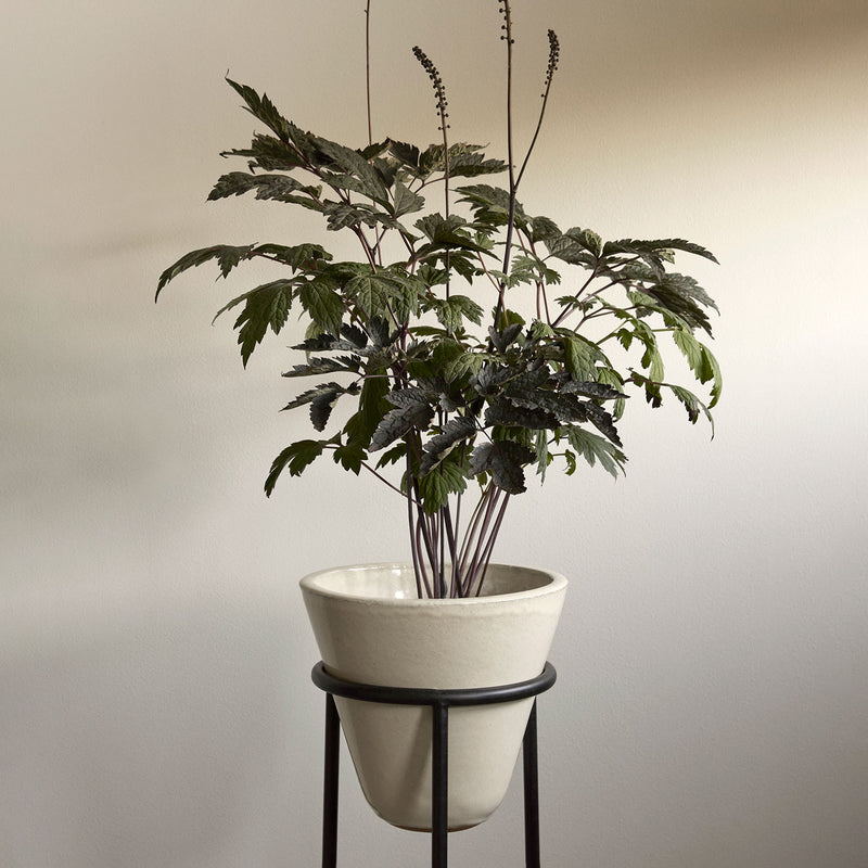 audo copenhagen (menu) | daiza planter | ivory 65x25cm