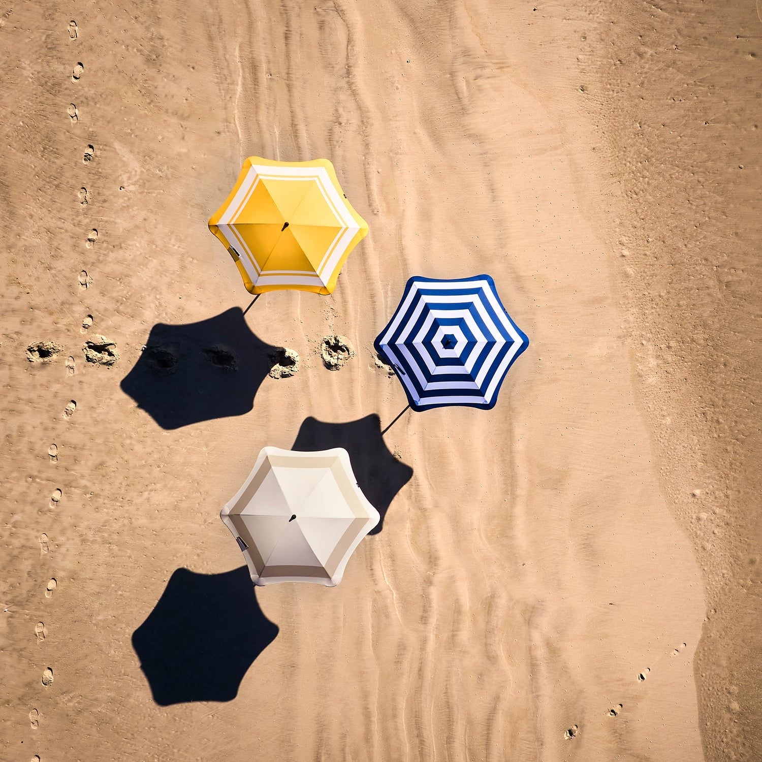 blunt_beach_umbrella_group_lifes.jpg__PID:ee2e44f6-3375-4851-981c-d15bc7d2d6ea