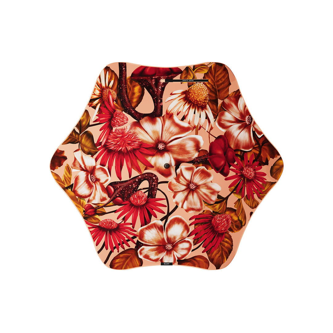 blunt | classic umbrella | kelly thompson - DC