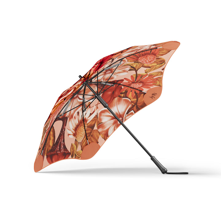 blunt | classic umbrella | kelly thompson - DC