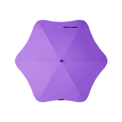 blunt | classic umbrella | violet purple