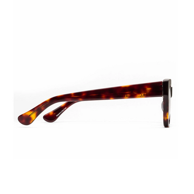 caddis | reading glasses | miklos gloss turtle - 3DC