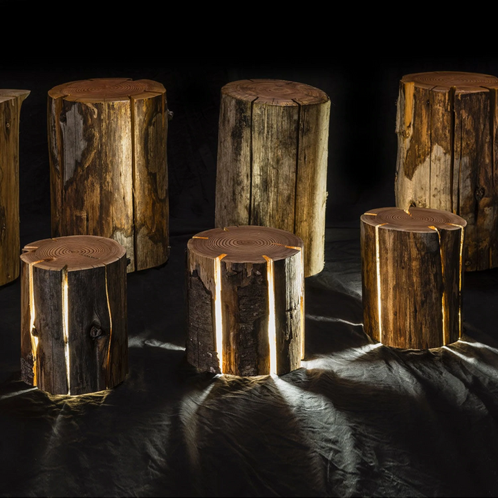 duncan meerding | cracked log lamp
