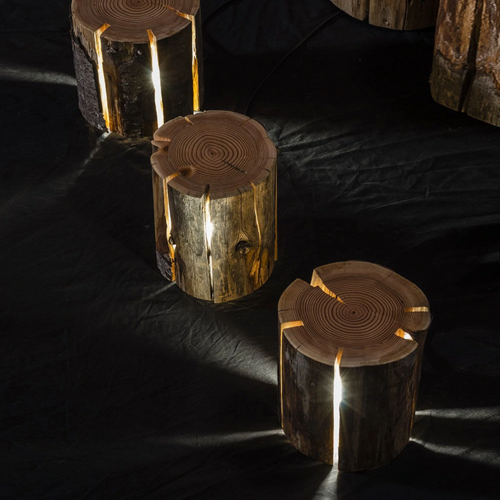 duncan meerding | cracked log lamp