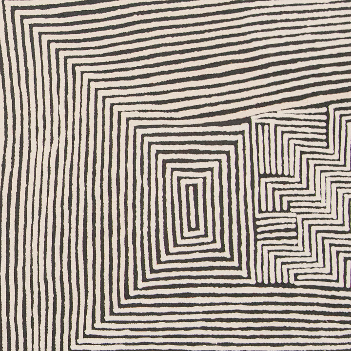 elizabeth marks nakamarra | original artwork | my country - ID41025