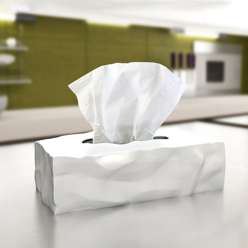 essey | wipy 2 rectangular tissue box | white