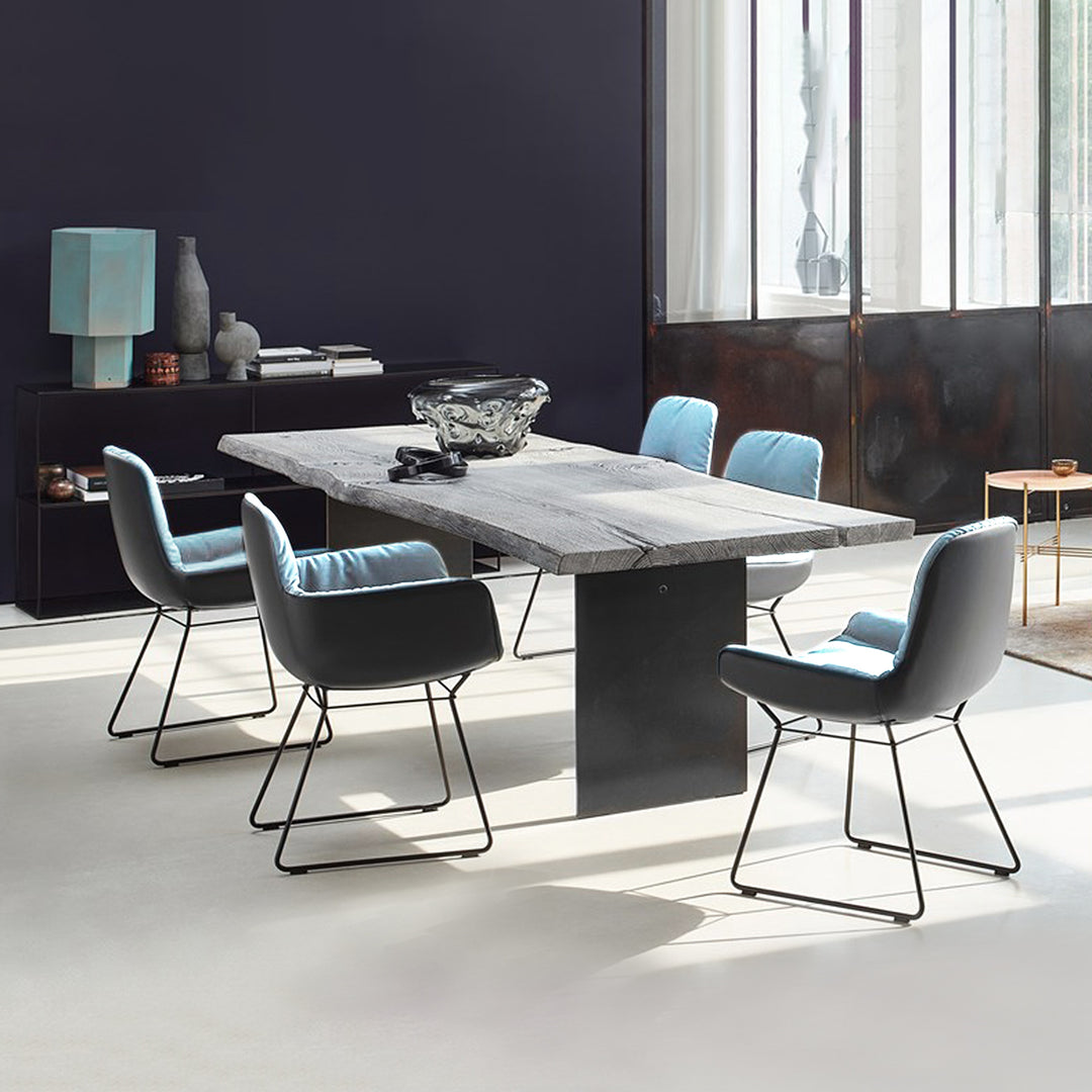 freifrau | leya armchair low | wire frame | avalon 0045 + sahara plaza leather ~ DC