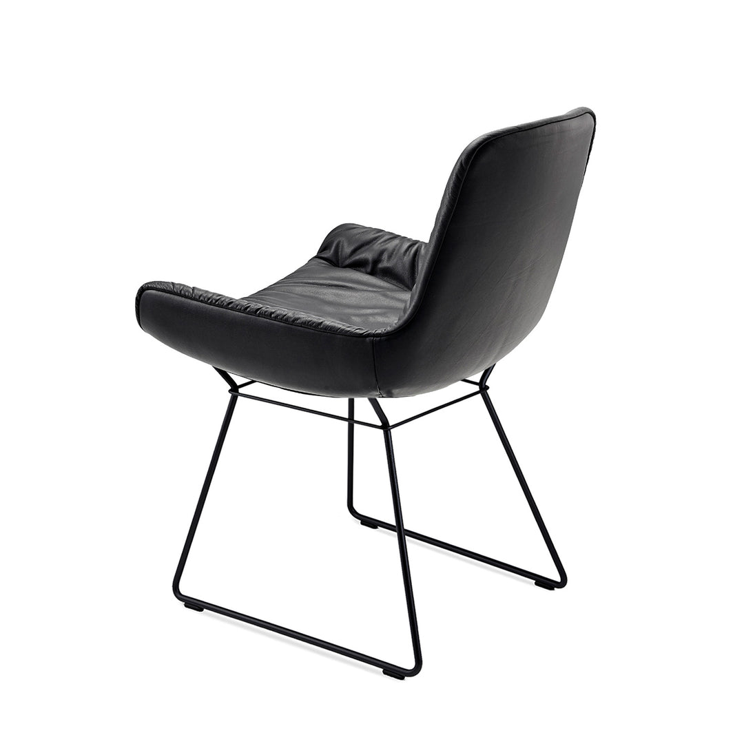 freifrau | leya armchair low | wire frame | cairo ebony (black) leather