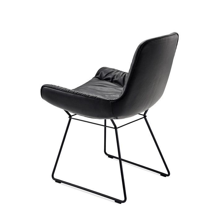 freifrau | leya armchair low | wire frame | cairo ebony (black) leather