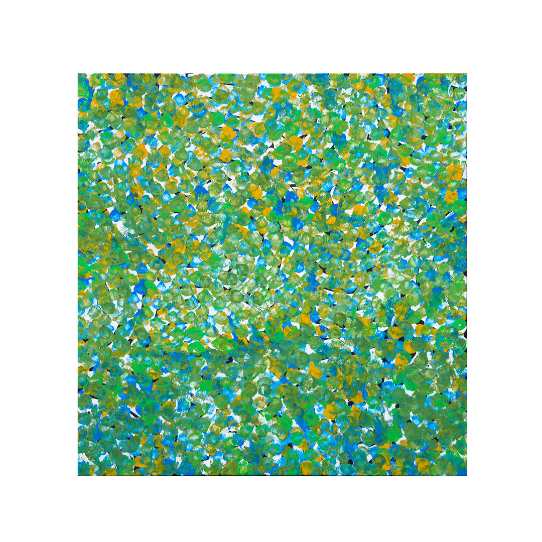 galya pwerle | original artwork | awelye atnwengerrp - ID40935