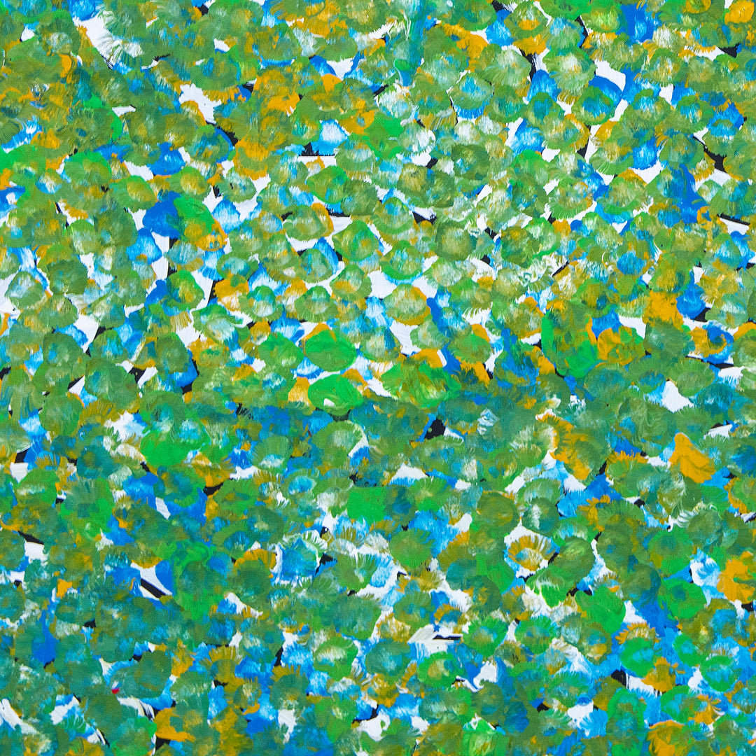 galya pwerle | original artwork | awelye atnwengerrp - ID40935