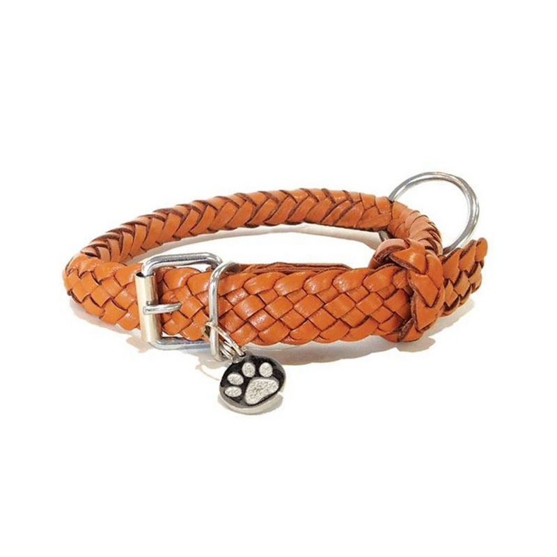 georgie paws | tonto dog collar | tan | medium - LC